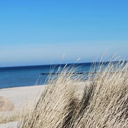 Cozy In Germany Near Beach Ostseebad Kühlungsborn
